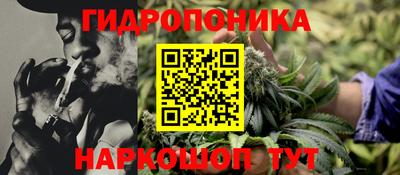гидра Рыбинск
