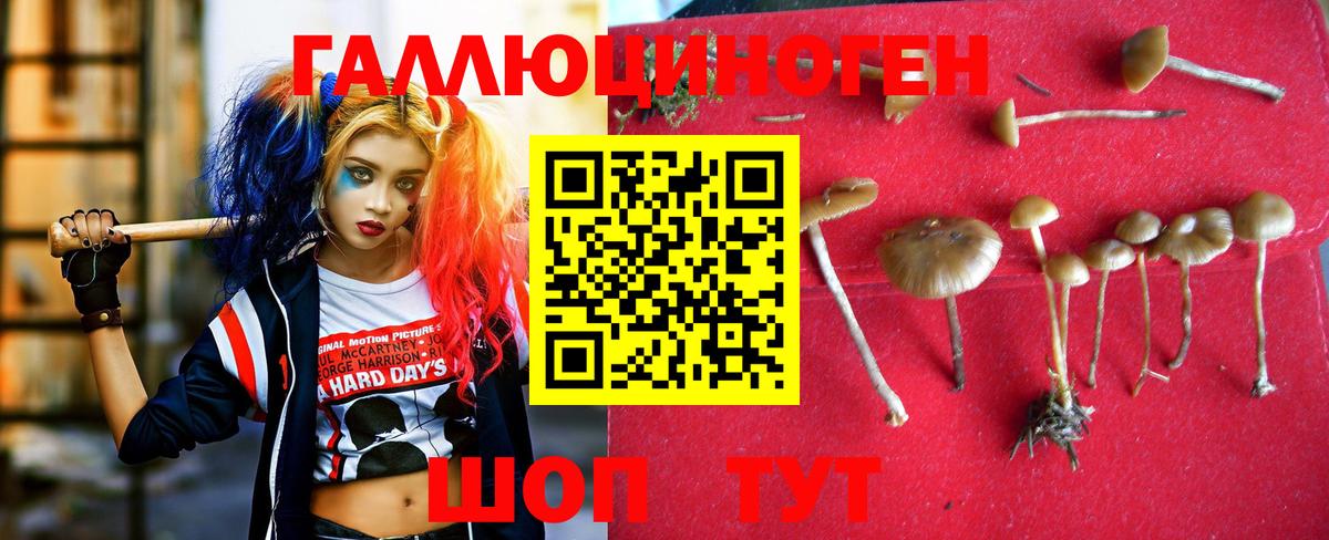Галлюциногенные грибы Psilocybine cubensis Рассказово