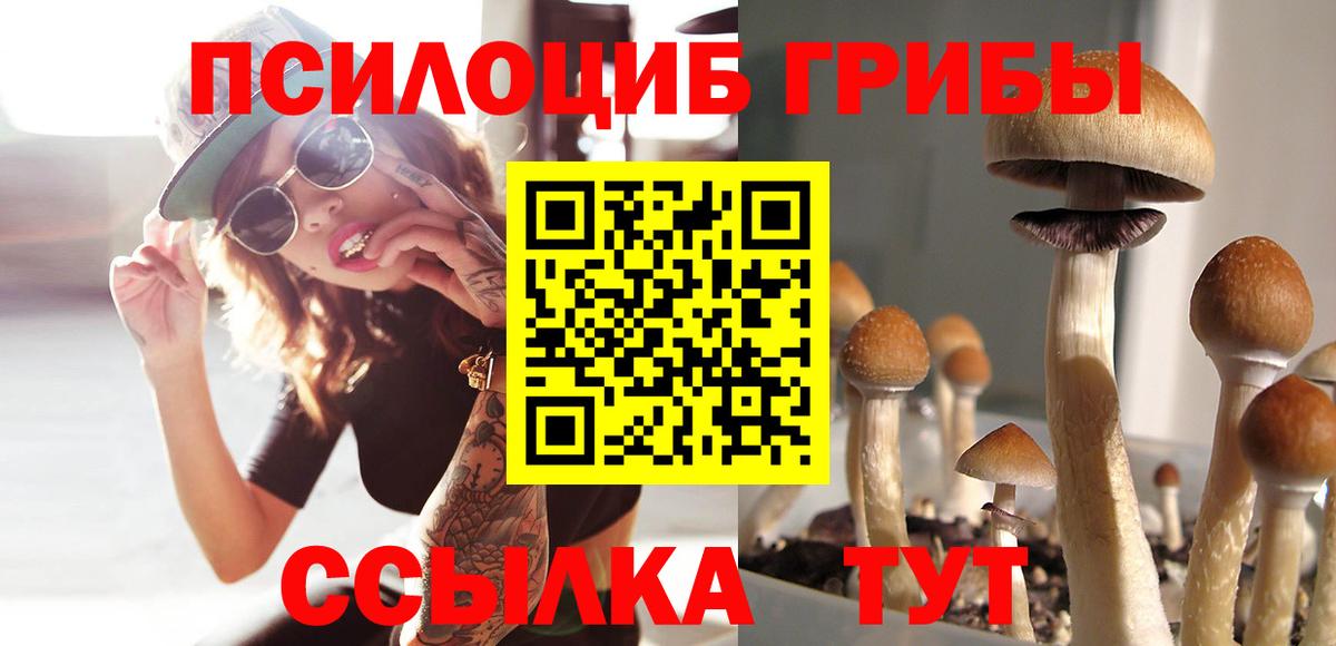 Рассказово  Галлюциногенные грибы Psilocybine cubensis  даркнет сайт  Вход с VPN 